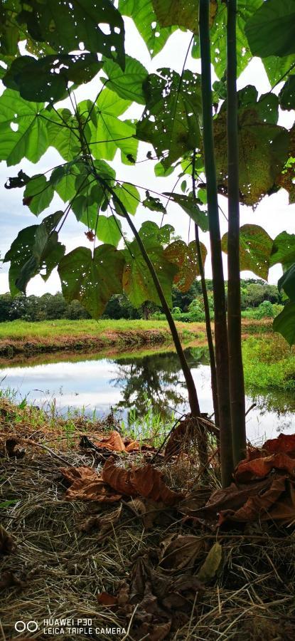 Willa Oasis Del Tortuguero Cariari  Zewnętrze zdjęcie