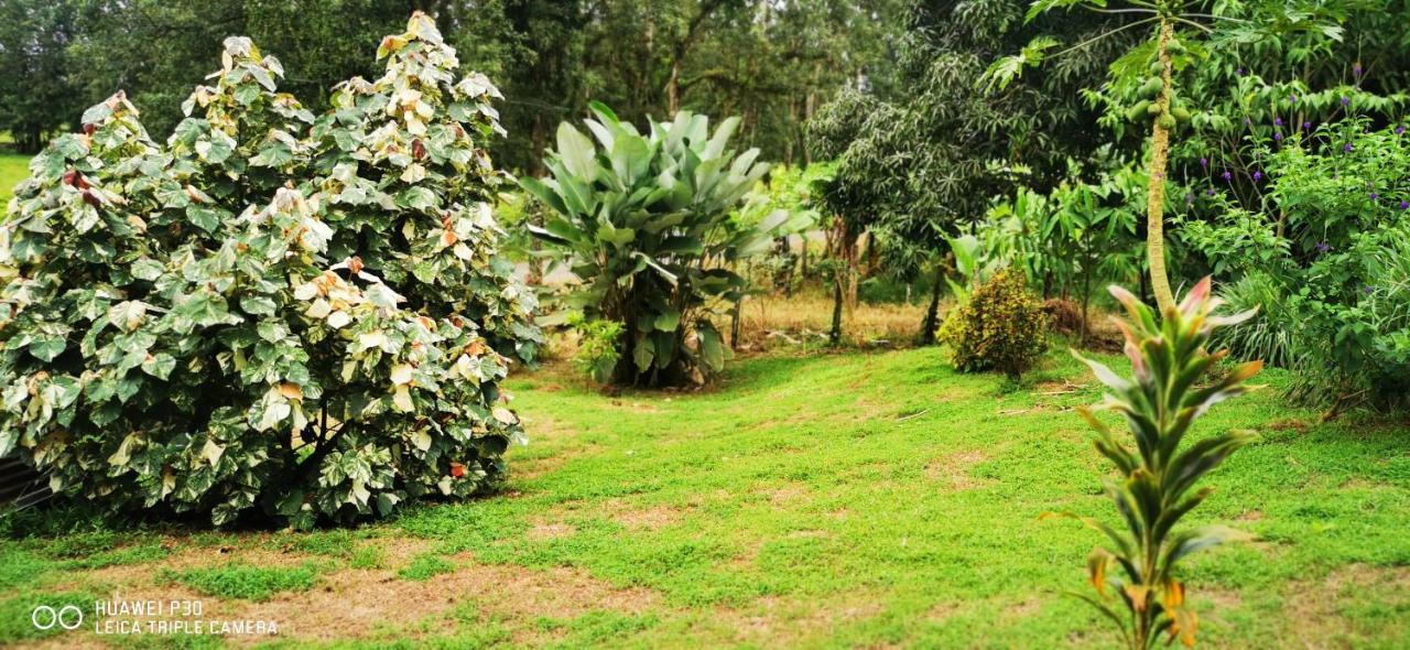 Willa Oasis Del Tortuguero Cariari  Zewnętrze zdjęcie