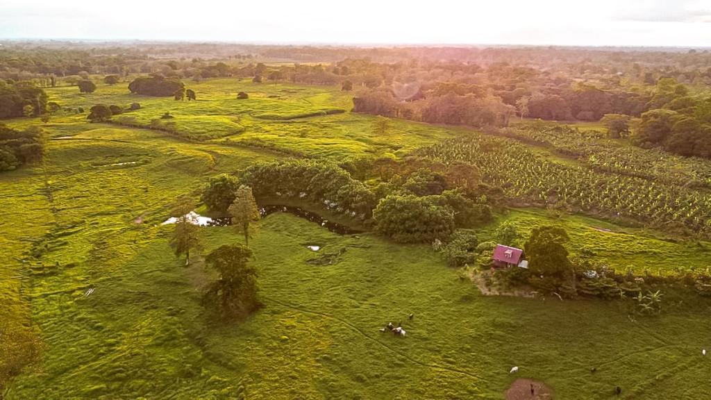 Willa Oasis Del Tortuguero Cariari  Zewnętrze zdjęcie