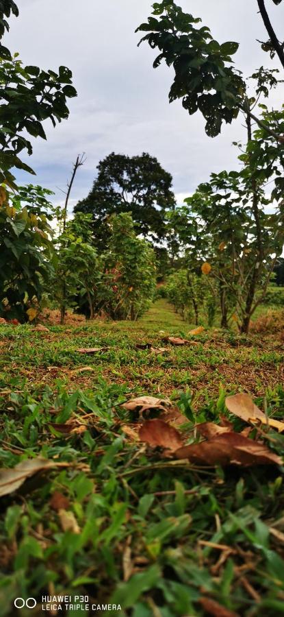 Willa Oasis Del Tortuguero Cariari  Zewnętrze zdjęcie