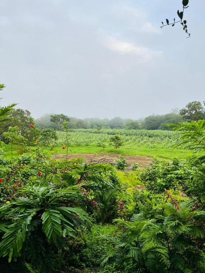 Willa Oasis Del Tortuguero Cariari  Zewnętrze zdjęcie